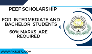 PEEF Scholarship 2023 for intermediate and graduate